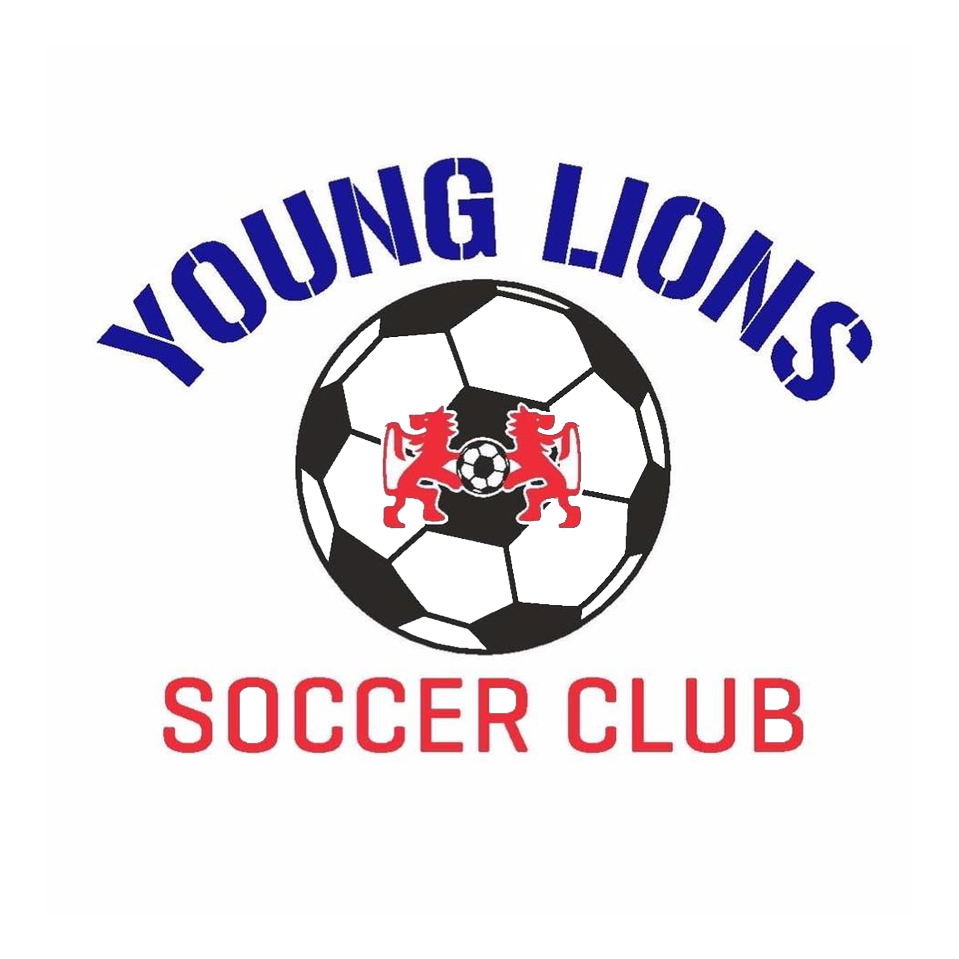 Young Lions SC